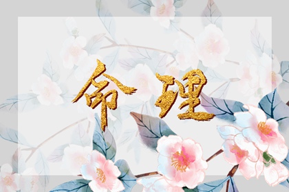 择吉老黄历皇历 开业择吉日 择吉皇历